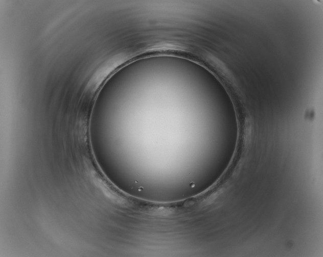 X0000111381321200907171213