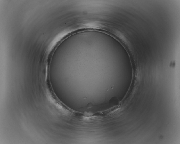 X0000111381323200907171213