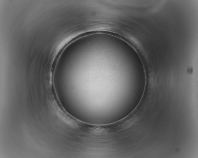 X0000111381324200907171213