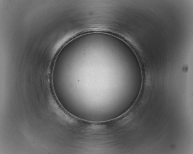 X0000111381325200907171213