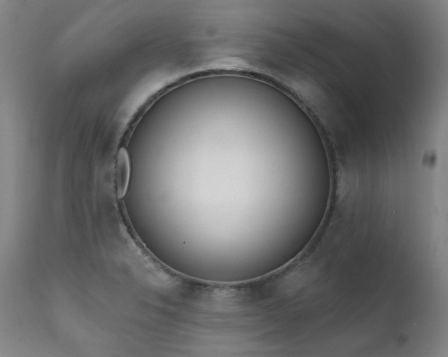 X0000111381326200907171213