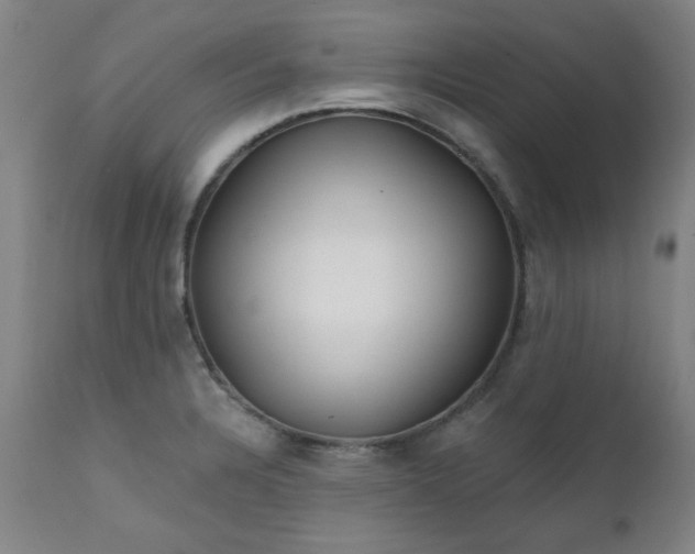 X0000111381328200907171213