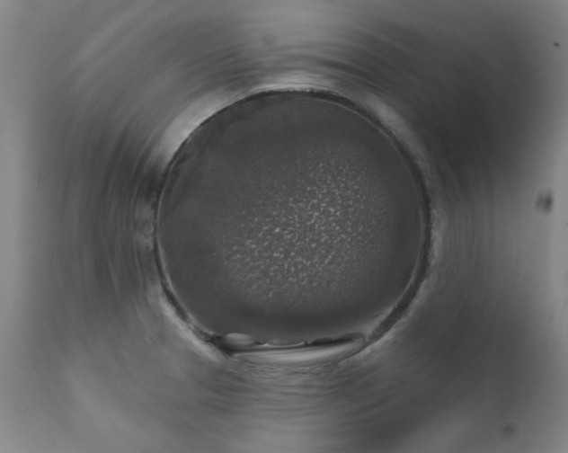 X0000111381329200907171213