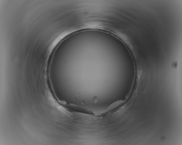 X0000111381331200907171213