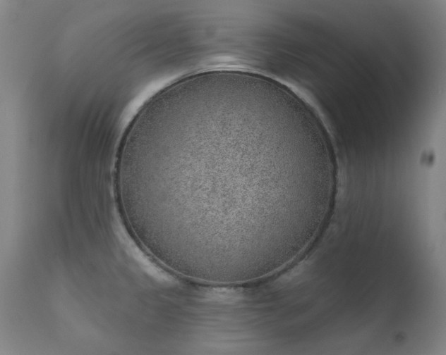 X0000111381333200907171213