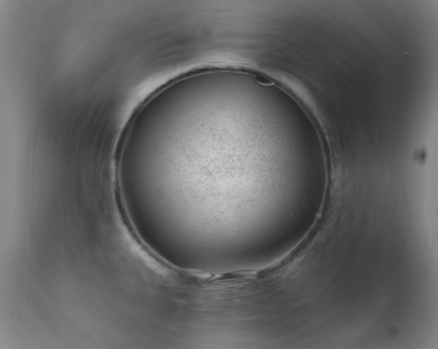 X0000111381335200907171213