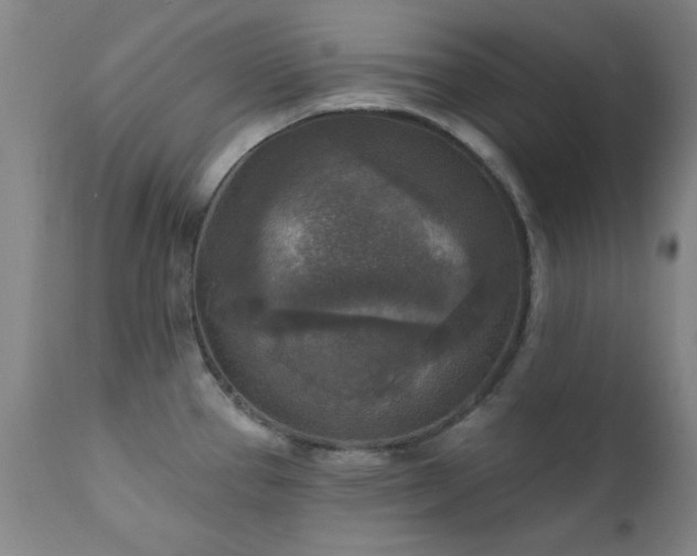 X0000111381337200907171213