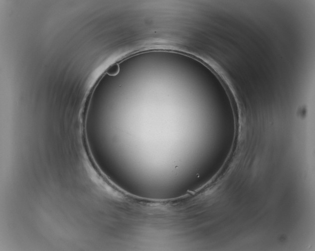 X0000111381341200907171213
