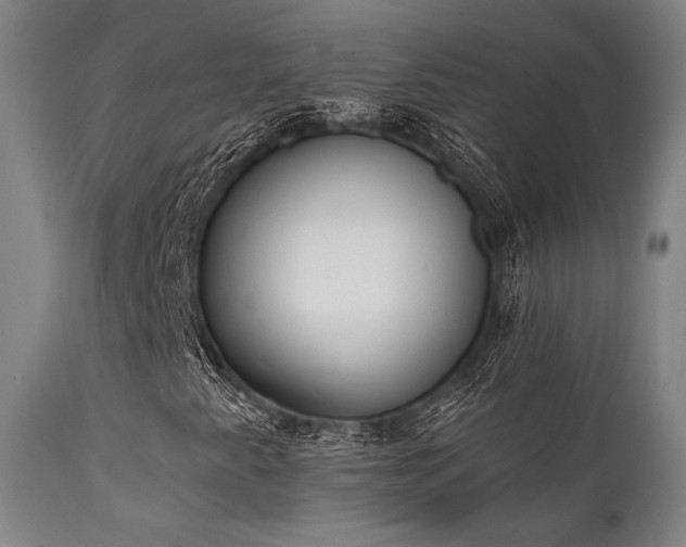 X0000111381345200907171213