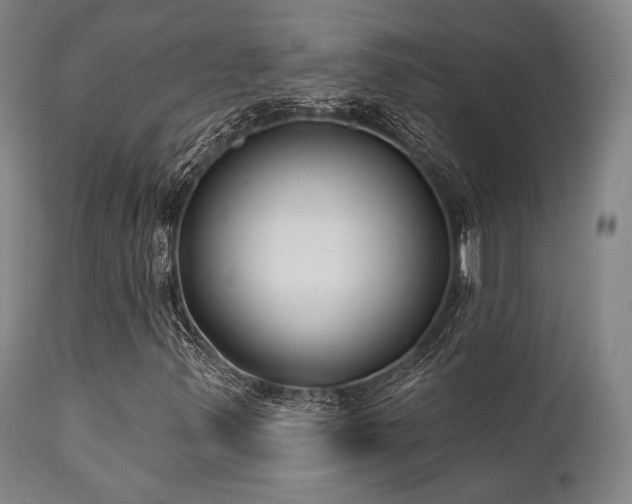 X0000111381347200907171213