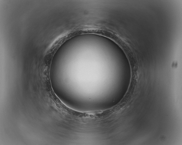 X0000111381351200907171213