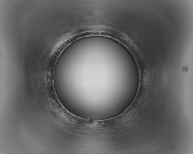 X0000111381352200907171213