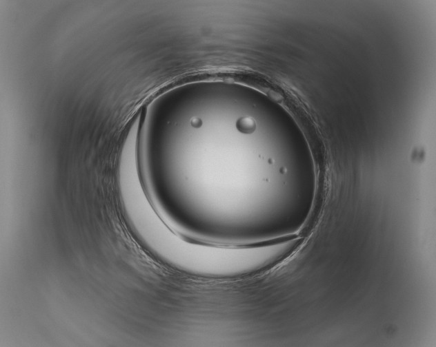 X0000111381353200907171213