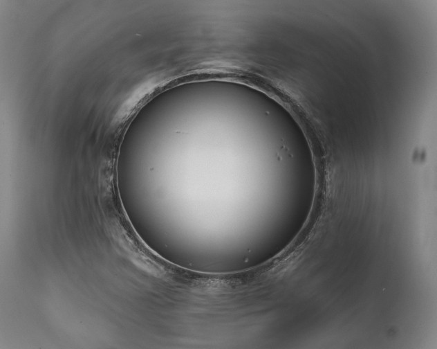 X0000111381355200907171213
