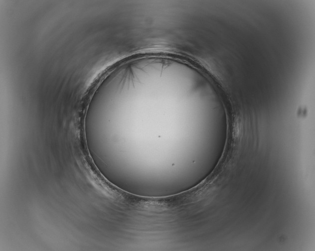 X0000111381356200907171213