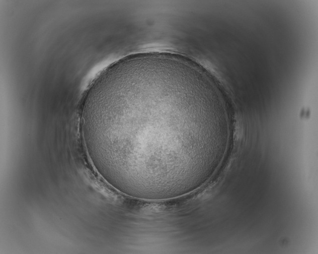X0000111381358200907171212