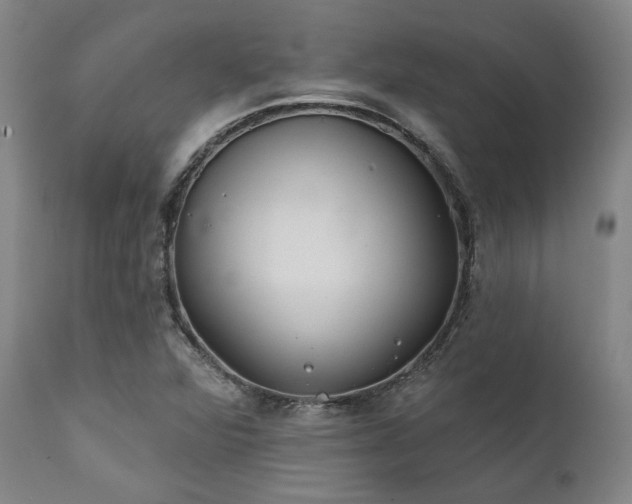 X0000111381360200907171212