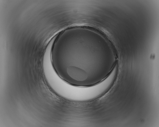 X0000111381361200907171212