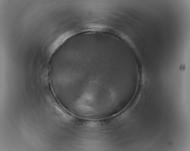 X0000111381362200907171212