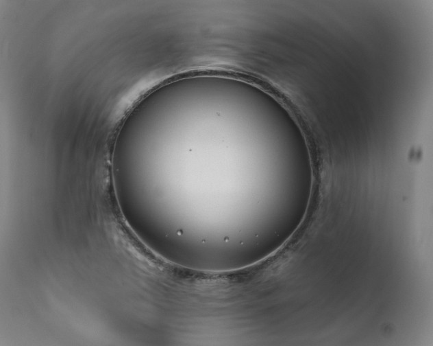 X0000111381363200907171212