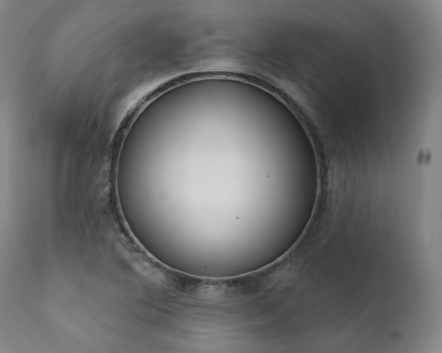 X0000111381364200907171212