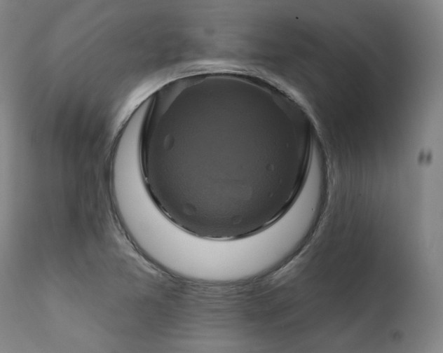 X0000111381365200907171212