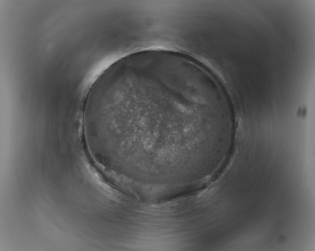 X0000111381367200907171212