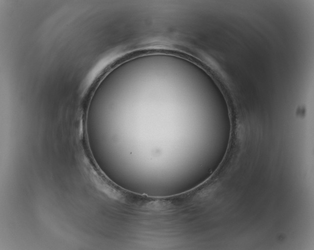 X0000111381368200907171212