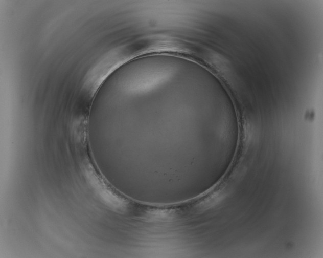 X0000111381369200907171212