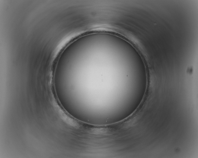 X0000111381376200907171212
