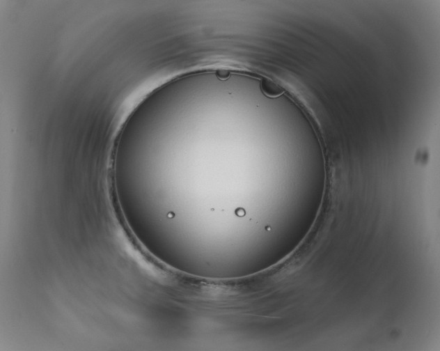 X0000111381379200907171212