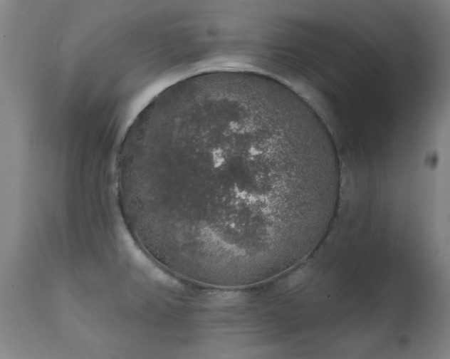 X0000111381382200907171212