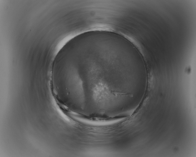 X0000111381383200907171212