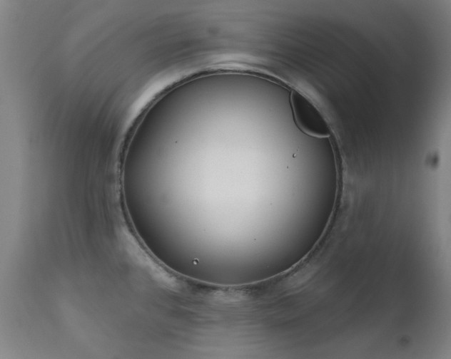X0000111381384200907171212