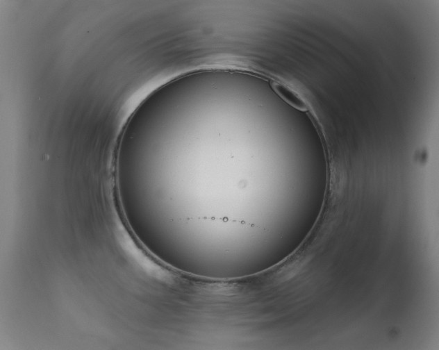 X0000111381387200907171212