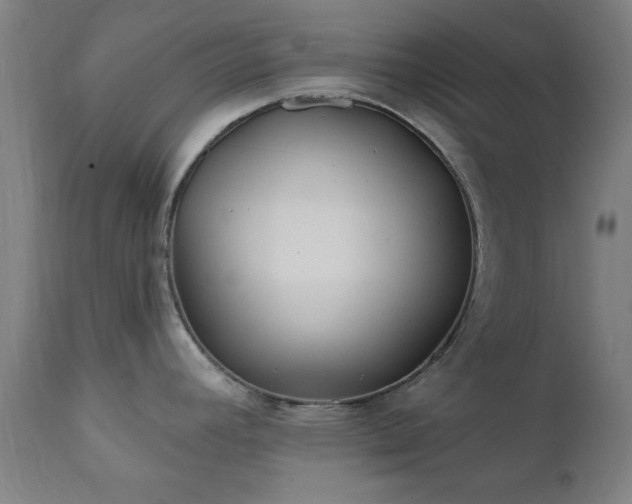 X0000111381392200907171212