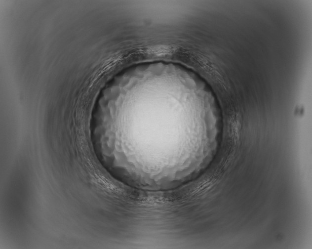 X0000111381393200907171211