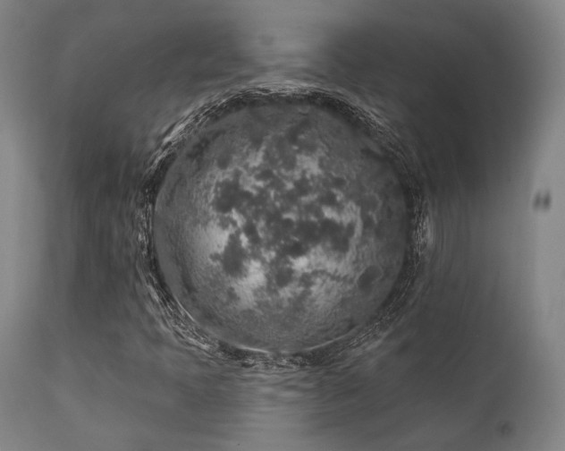 X0000111381397200907171211