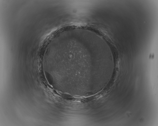 X0000111381398200907171211
