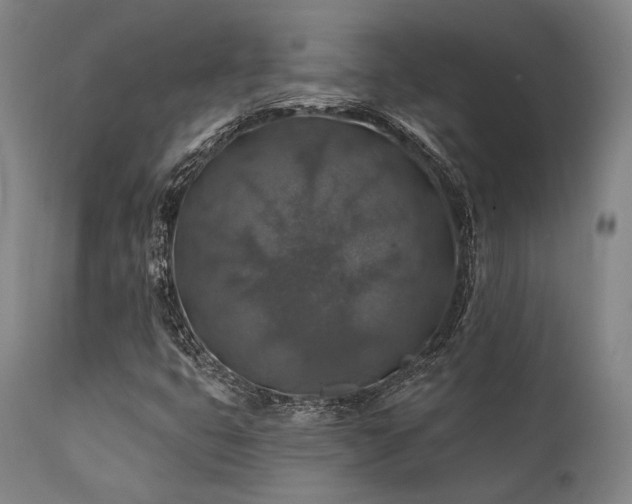 X0000111381399200907171211