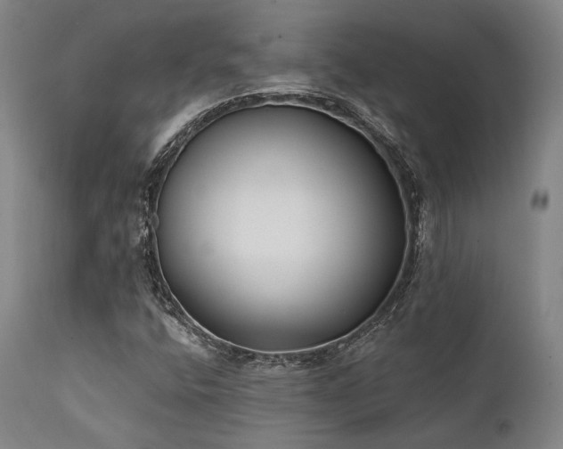 X0000111381400200907171211
