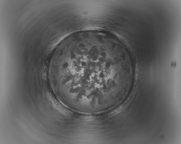 X0000111381401200907171211
