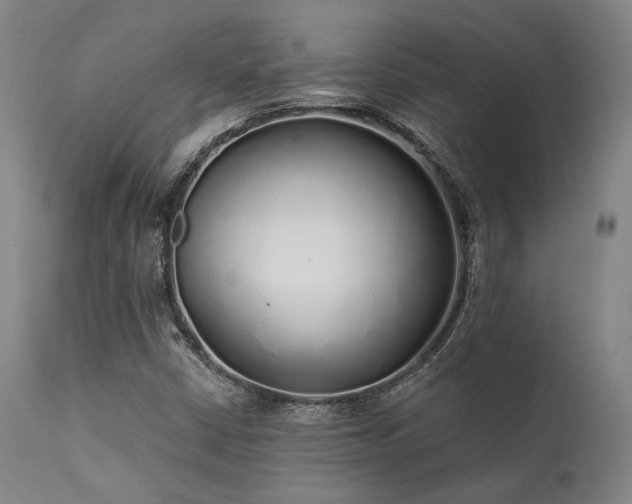 X0000111381402200907171211