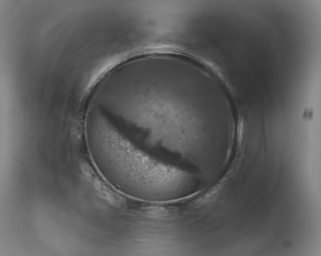 X0000111381405200907171211