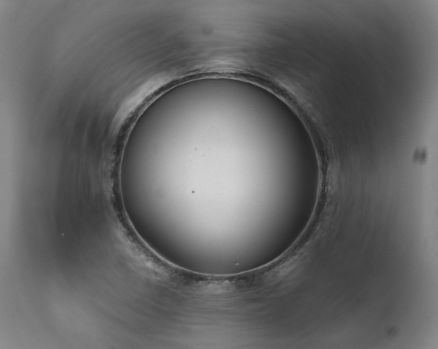 X0000111381410200907171211