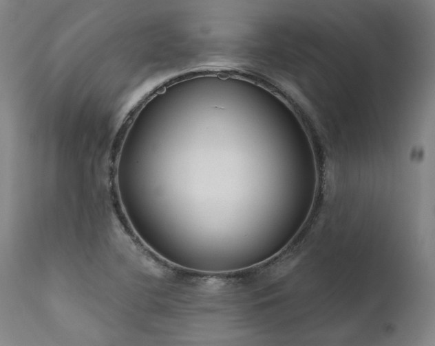 X0000111381412200907171211