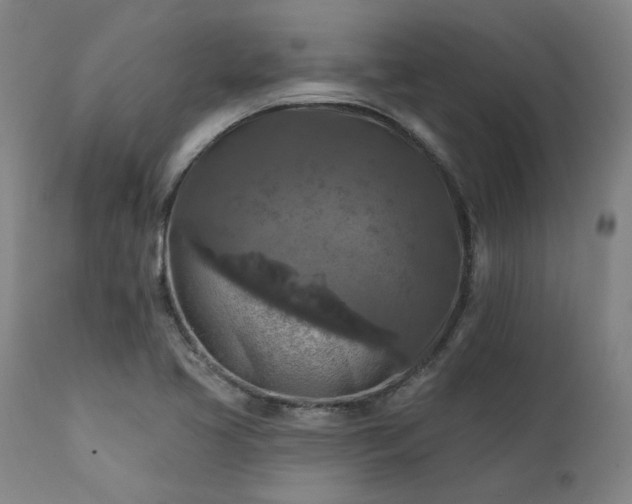X0000111381413200907171211