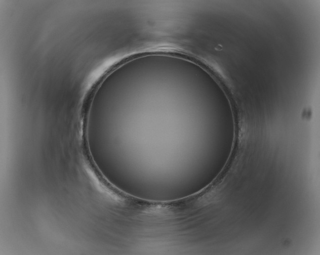X0000111381414200907171211
