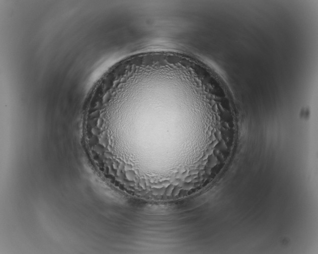X0000111381415200907171211