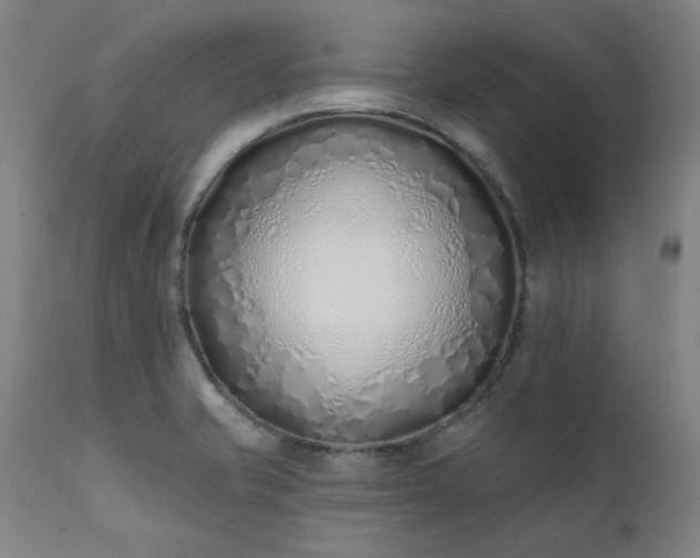 X0000111381421200907171212